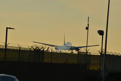 DSC_5713 (Large).JPG